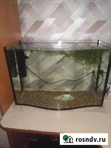 Аквариум 45-50литров Набережные Челны - изображение 1