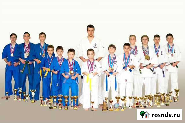 Федерация кудо города Пскова Псков - изображение 1