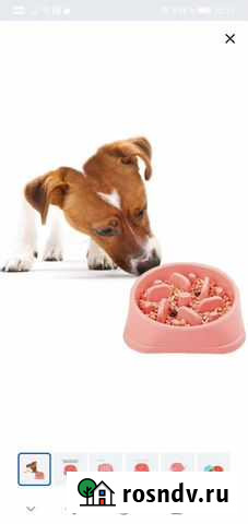 Миски для собак Мурино - изображение 1