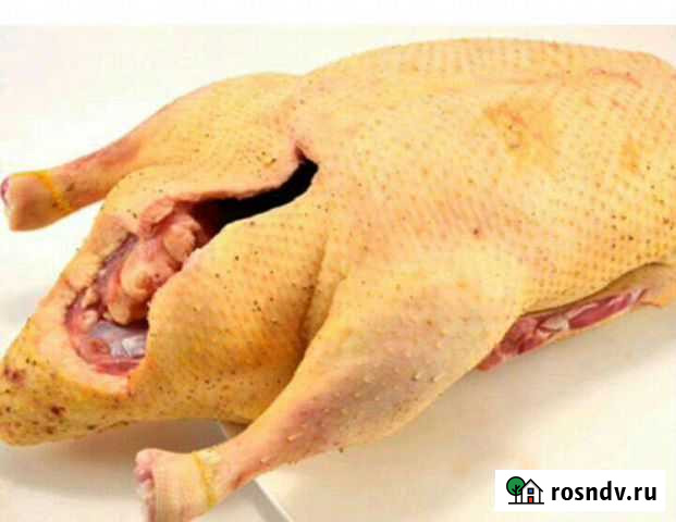 Мясо гуся Саратов - изображение 1