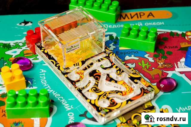 Муравьиная ферма Формикарий Новороссийск - изображение 1