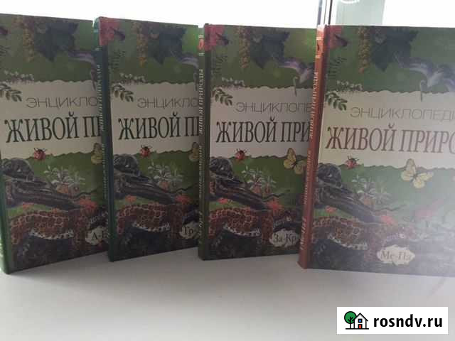 Энциклопедии Северодвинск - изображение 1