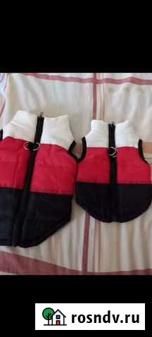 Жилет для собак Коржевский - изображение 1