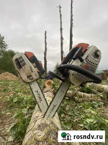 Спил, Валка деревьев по частям. обработка, лечение Сосново - изображение 1