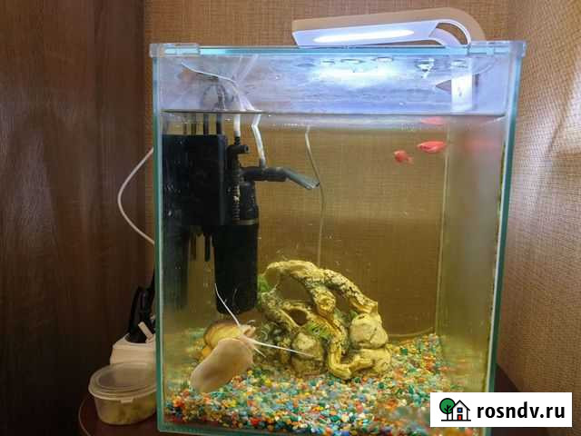 Аквариум для рыб Севастополь - изображение 1