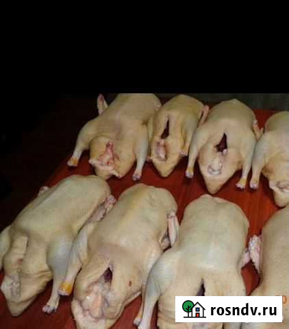 Мясо Гусей (тушка) Миллерово - изображение 1