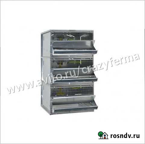 Клетка для перепелов Лобня - изображение 1