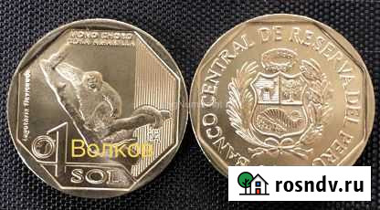 Перу Саранск - изображение 1