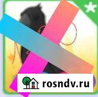 Петы адопт ми Ярославль - изображение 1