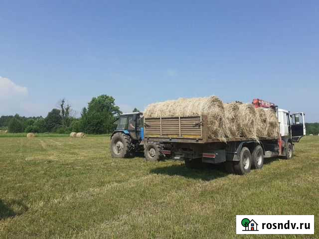 Сено доставка Воротынск - изображение 1