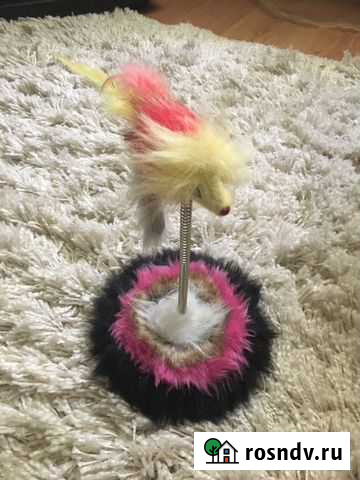 Кошачья игрушка Краснознаменск - изображение 1