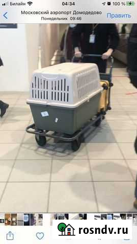 Переноска для крупных собак Коммунарка - изображение 1