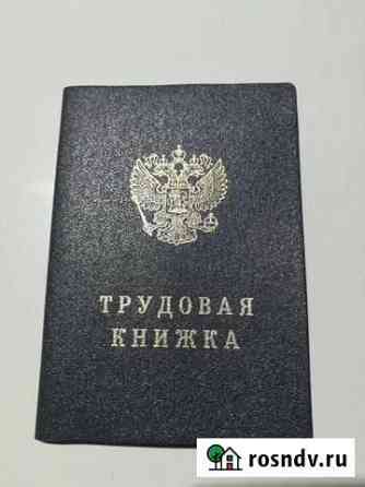 Трудовая книжка Копейск