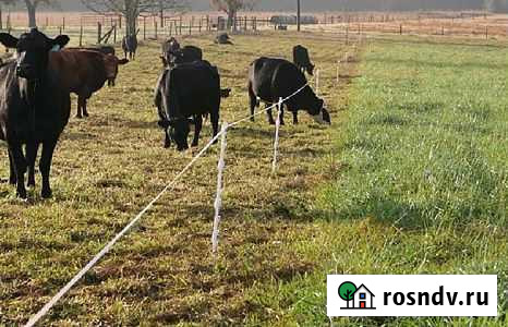 Комплектующие для электропастуха Октябрьский - изображение 1