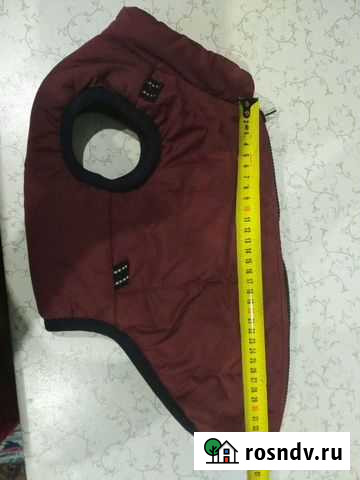 Жилетки зимние на собаку среднего размера Сызрань - изображение 1