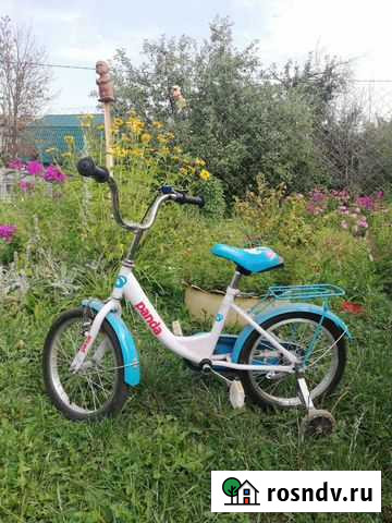 Велосипед детский Владимир - изображение 1