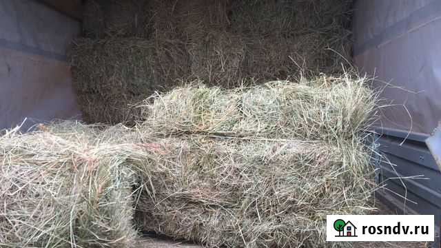 Сено Балакирево - изображение 1