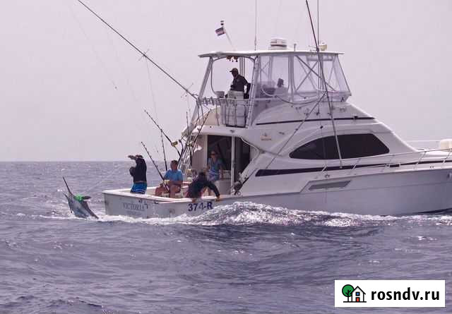 Рыбалка на Кабо-Верде Мамоново - изображение 1