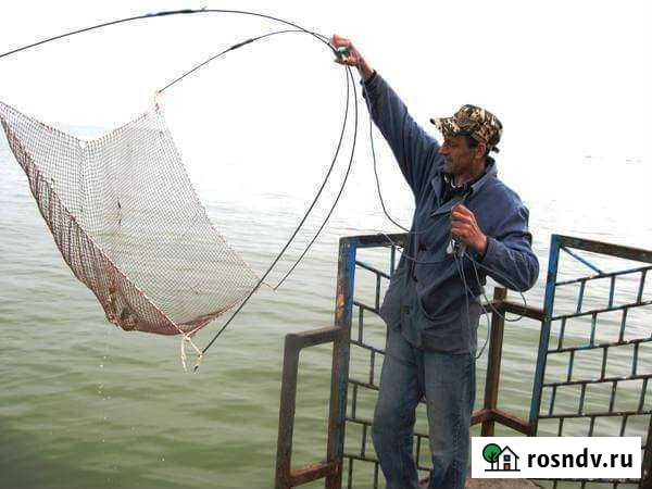 Малявочник Тольятти - изображение 1