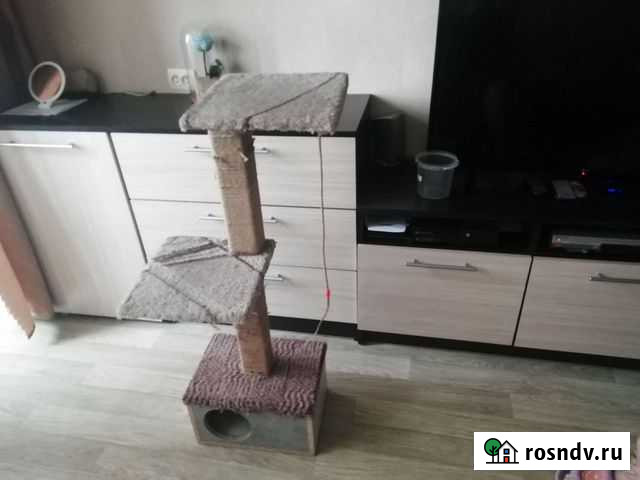 Домик для кошки с когтеточкой бу Таганрог - изображение 1