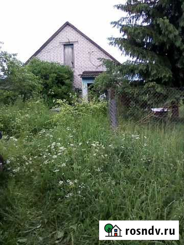 Другие животные Монастырщина - изображение 1