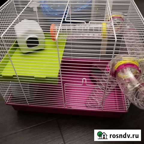 Клетка для грызунов и переноска Мытищи - изображение 1