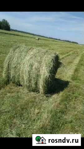 Сено в рулонах с доставкой Юрга - изображение 1