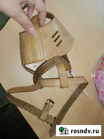 Намордник Ноябрьск - изображение 1