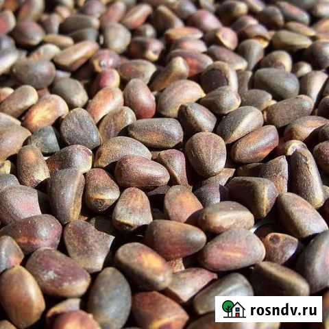 Орех кедровый не очищенный Черкесск - изображение 1