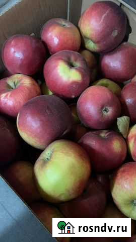 Яблоки, морковь, картофель Брянск - изображение 1