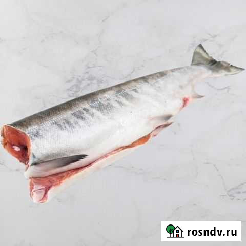 Кета (рыба) - улов 2021 Сахалин. Доставка от 1 кг Дедовск - изображение 1