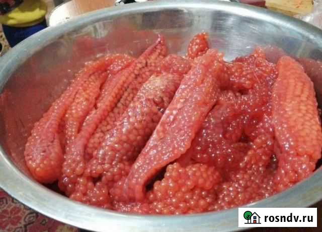 Рыба Благовещенск - изображение 1