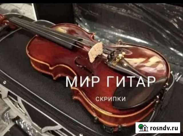 Скрипки Немецкие Art Future Массив Нижний Новгород - изображение 1