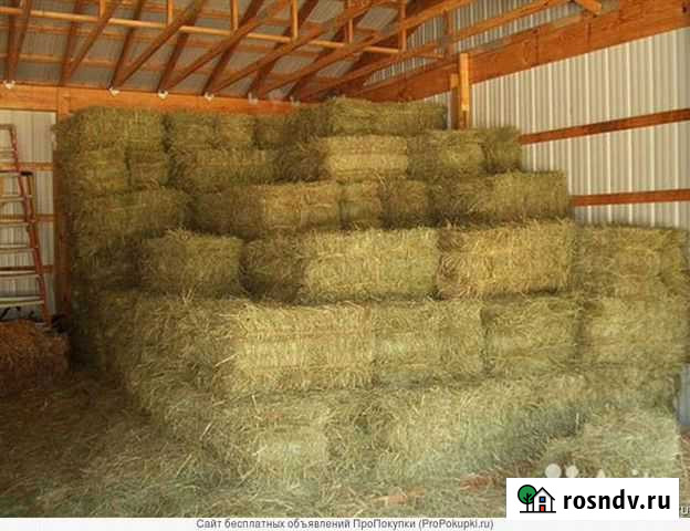 Сено в тюках Ржакса - изображение 1