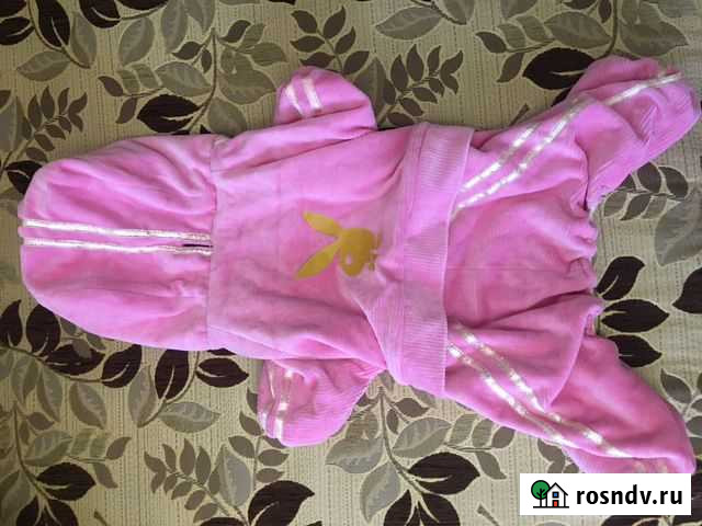 Новый костюм для собаки Владивосток - изображение 1