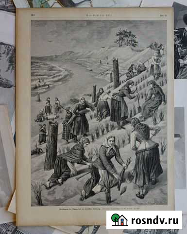 Гравюра Куршская коса 1890 г. Пруссия Кенигсберг Калининград - изображение 1