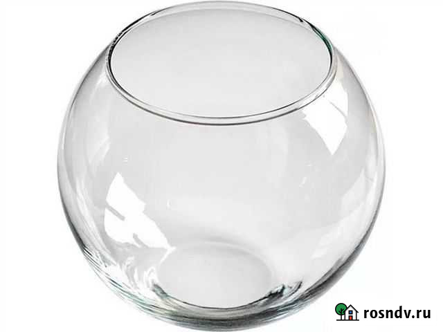 Аквариум Оренбург - изображение 1