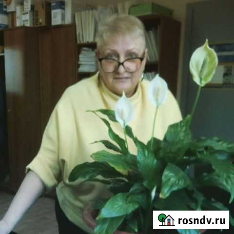 Сиделка Волгоград - изображение 1