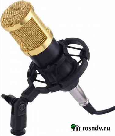 Микрофон BM 800 Кизляр