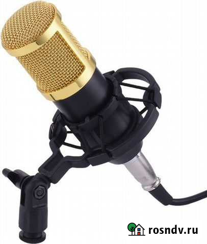 Микрофон BM 800 Кизляр - изображение 1