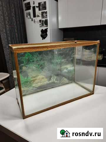 Аквариум Чебоксары - изображение 1