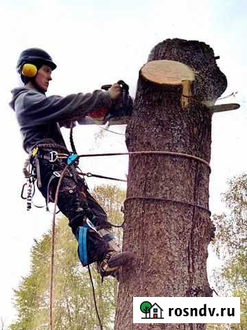 Удаление деревьев, спилить дерево Иваново и обл Иваново - изображение 1