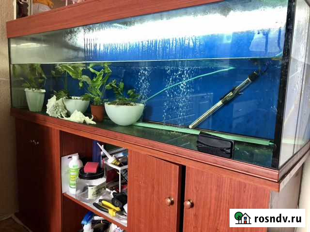 Аквариум с тумбой 350 л Магадан - изображение 1