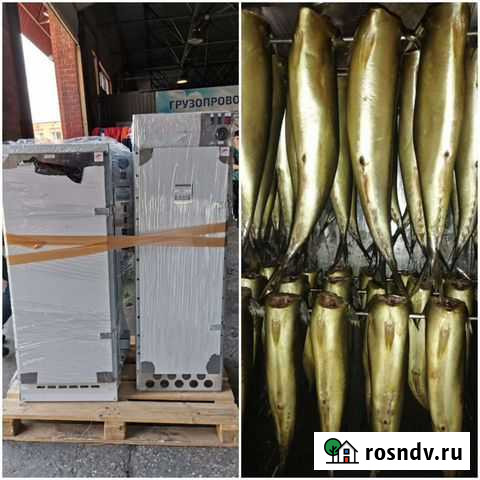 Коптильный цех на 250 кг Абакан - изображение 1