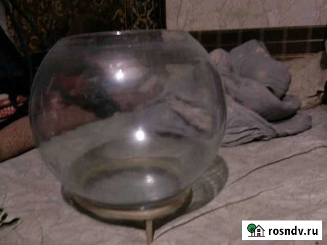 Аквариум Железногорск - изображение 1