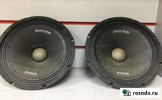 Колонки Dunamic State PM-250.1 Pro Саратов - изображение 1