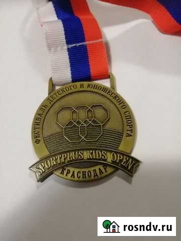 Медаль Фестиваль детского и юношеского спорта Spor Уссурийск - изображение 1