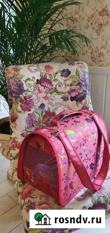 Переноска для кошек. Аренда Нижний Тагил - изображение 1