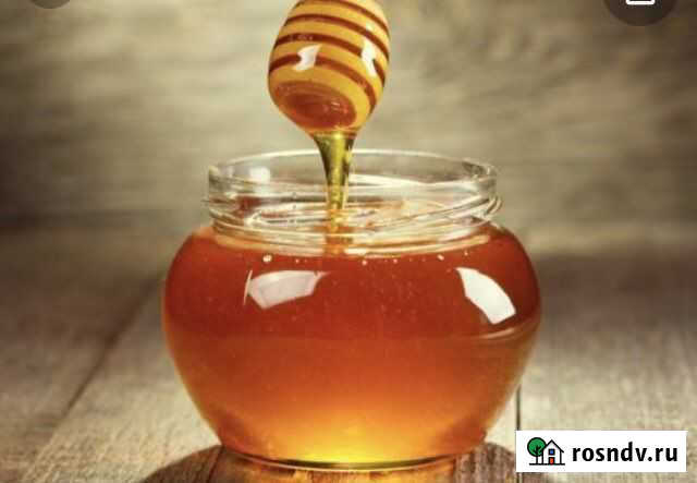 Мед Петровск - изображение 1