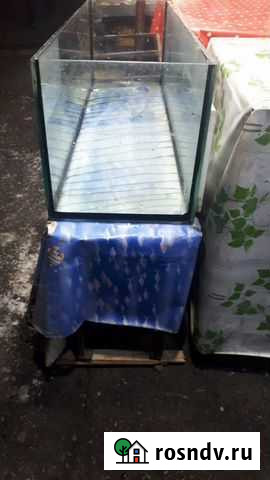 Аквариум Владикавказ - изображение 1